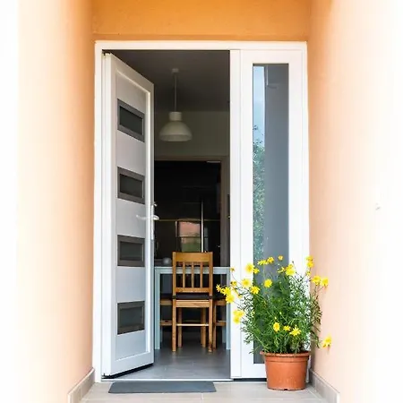 Nemeth 凯斯特海伊