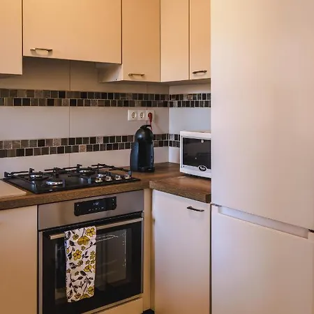 Nemeth 公寓 凯斯特海伊